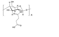 Succinal Chitosan