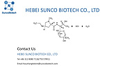 Lincomycin HCL