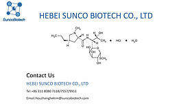 Lincomycin HCL