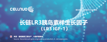 LR3 IGF-1