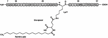 Liraglutide