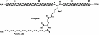 Liraglutide
