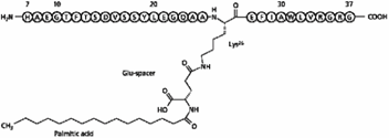 Liraglutide