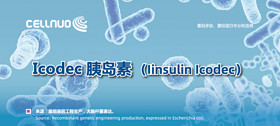 Insulin Icodec