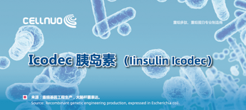 Insulin Icodec