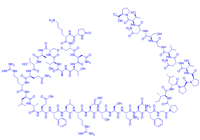 Cagrilintide