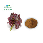 4:1-20:1 Pure Perilla Leaf Extract Powder