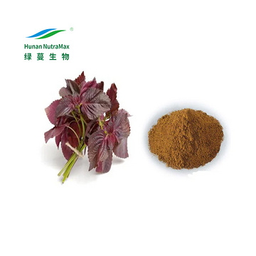 4:1-20:1 Pure Perilla Leaf Extract Powder  
