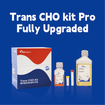 Trans CHO Kit Pro