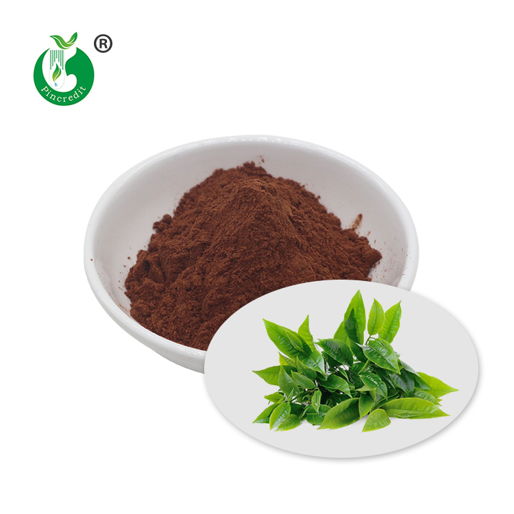 Green Tea Extract Powder