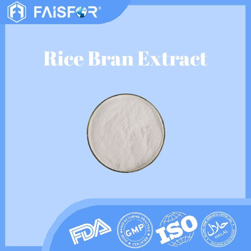 Bulk Rice Bran Extract for Functional Food Applications