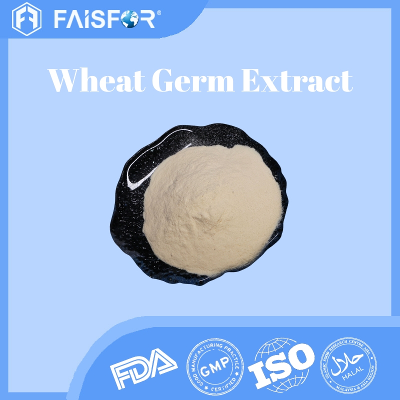 Bulk Spermidine From Wheat Germ for Anti-Aging Formulas