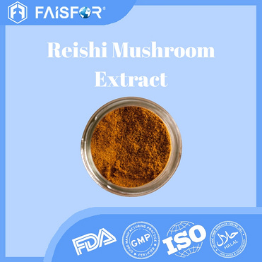 Reishi Mushroom Extract Powder for Daily Wellness Formulas