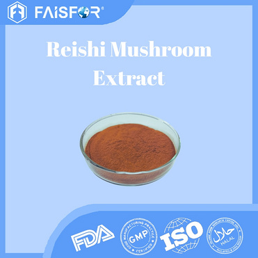 Reishi Mushroom Extract Powder for Daily Wellness Formulas