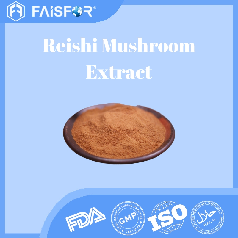 Reishi Mushroom Extract Powder for Daily Wellness Formulas