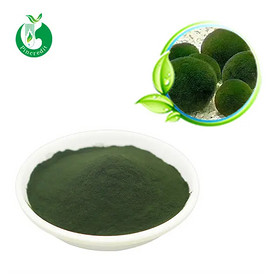 Organic Chlorella Extract Chlorella Powder