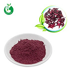 Organic Hibiscus Flower Extract Powder
