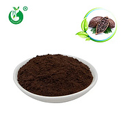 Organic High Quality Alkalized Cocoa Powder