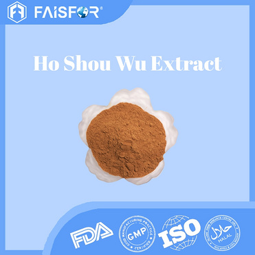 Bulk Sale Ho Shou Wu Polygonum Multiflorum Extract for Vitality and Energy