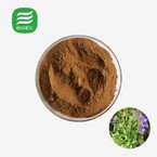 Natual Scutellaria Baicalensis Extract Powder Pure Baicalin Powder