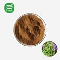 Natual Scutellaria Baicalensis Extract Powder Pure Baicalin Powder