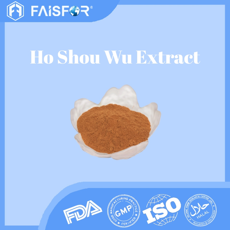 Bulk Sale Ho Shou Wu Polygonum Multiflorum Extract for Vitality and Energy