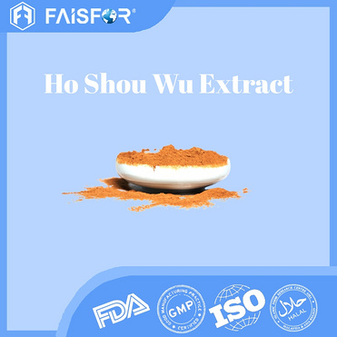 Bulk Sale Ho Shou Wu Polygonum Multiflorum Extract for Vitality and Energy