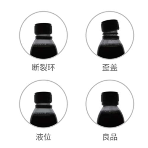 Cap/Liquid Level Vision Inspection System