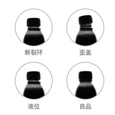 Cap/Liquid Level Vision Inspection System