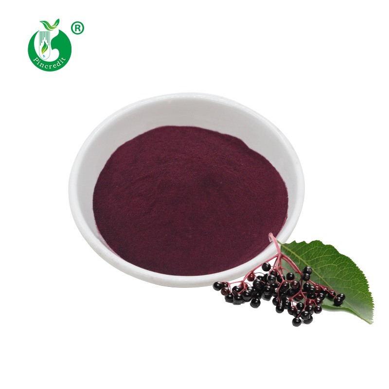 Organic Black Elderberry Extract Powder