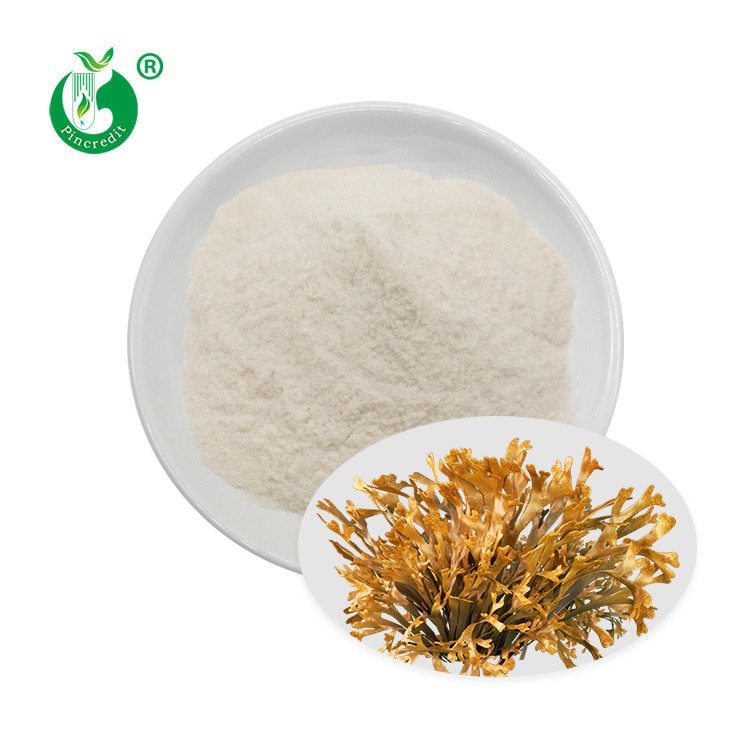 98% Fucoidan Powder
