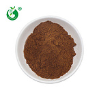 Mulberry Leaf Extract DNJ