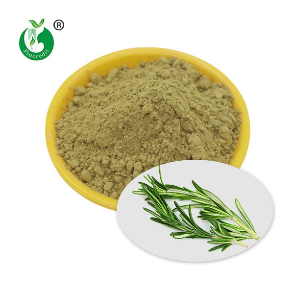 5% 20% 25% 60% Natural Bulk Rosemary Extract Powder Carnosic Acid