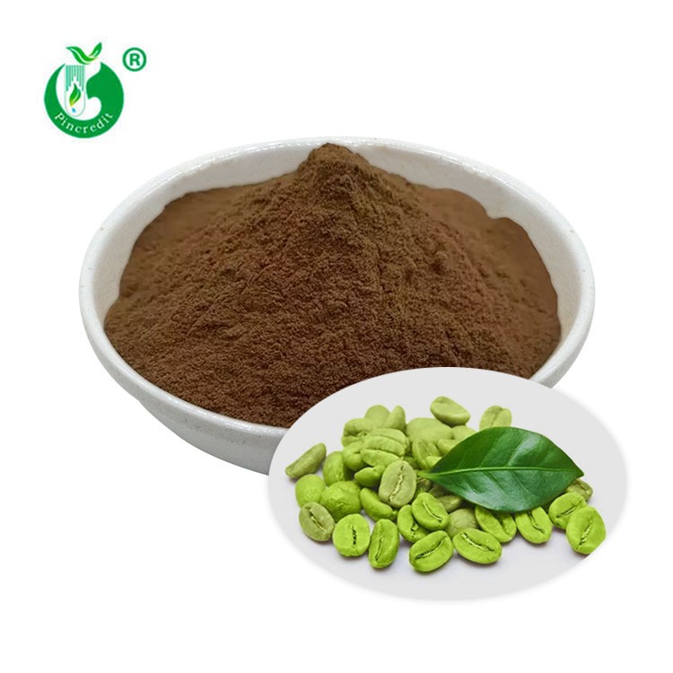Green Coffee Bean Extract 50% Chlorogenic Acid