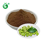 Green Coffee Bean Extract 50% Chlorogenic Acid