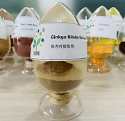 Ginkgo Biloba Extract