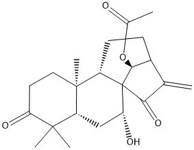 glaucocalyxin B
