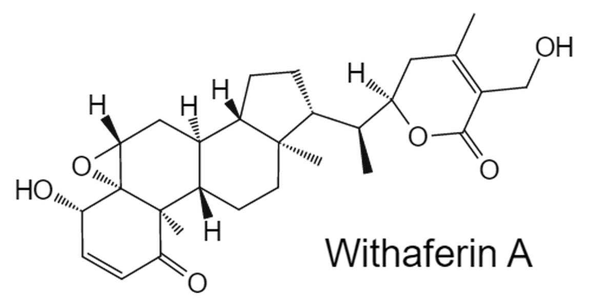 WITHAFERIN A