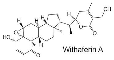WITHAFERIN A