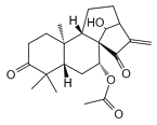 glaucocalyxin D