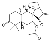 glaucocalyxin D