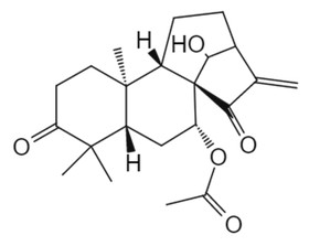 glaucocalyxin D