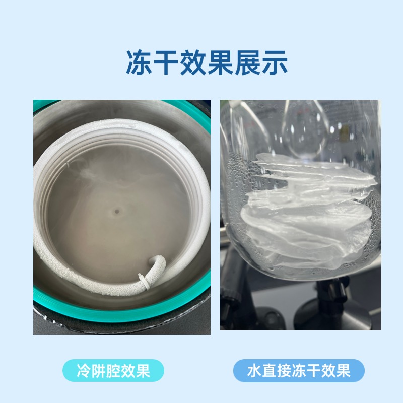 24T Vacuum Freeze Dryer  