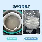 24T Vacuum Freeze Dryer
