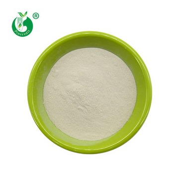 Chitosan Powder