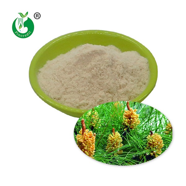 Pine Pollen Extract 10:1, 20:1