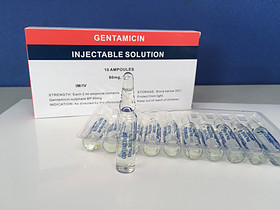 Gentamicin Injection