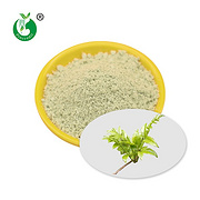 Vine Tea Extract Dihydromyricetin Powder