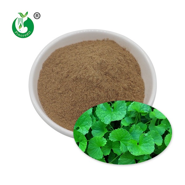 Centella Asiatica Extract Madecassoside 10%-90%; Asiaticoside 10%-90%