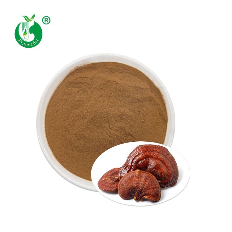Wholesale High Quality Organic Reishi Mushroom Extract Powder